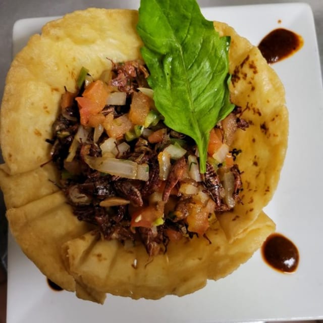 Nido de chapulin a la Mexicana.