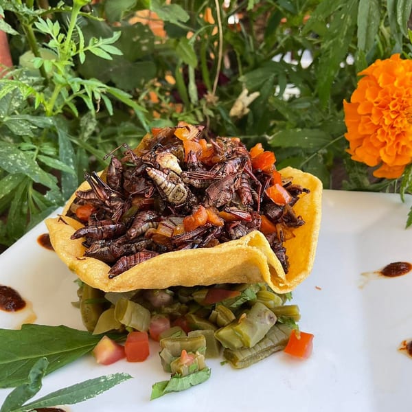 Chapulines (grasshoppers) in a crispy tortilla bowl with diced vegetables, garnished with an orange marigold.