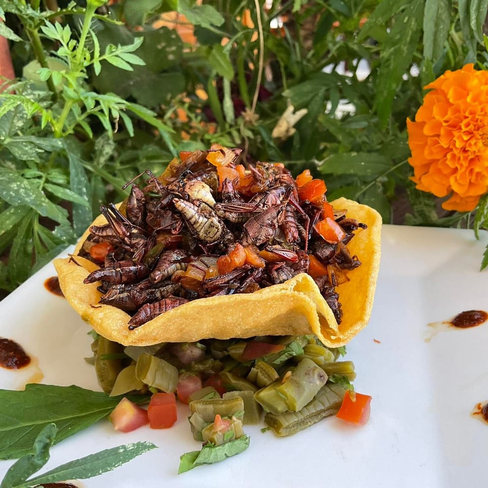 Chapulines (grasshoppers) in a crispy tortilla bowl with diced vegetables, garnished with an orange marigold.